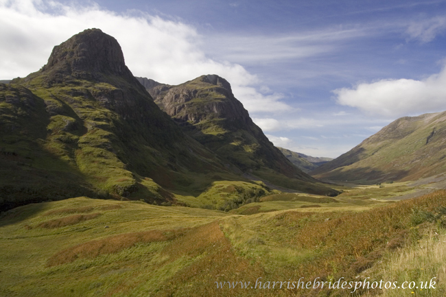Gallery of images with albums/West_Highland as the main theme